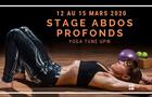 Stage sur les abdos profonds Yoga Tune Up - Quebec Stage Yoga Tune Up abdominaux profonds, diaphragme, plancher pelvien, transverses, yoga-balles, yoga tune up , the roll model, mireille mimi martel, jill miller